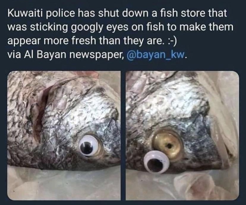 OYET W oTo ToN g IR o 0 e o o W 1 o S o R 1 1 was sticking googly eyes on fish to make them appear more fresh than they are VERAREENE TS oo IS ENE RIS