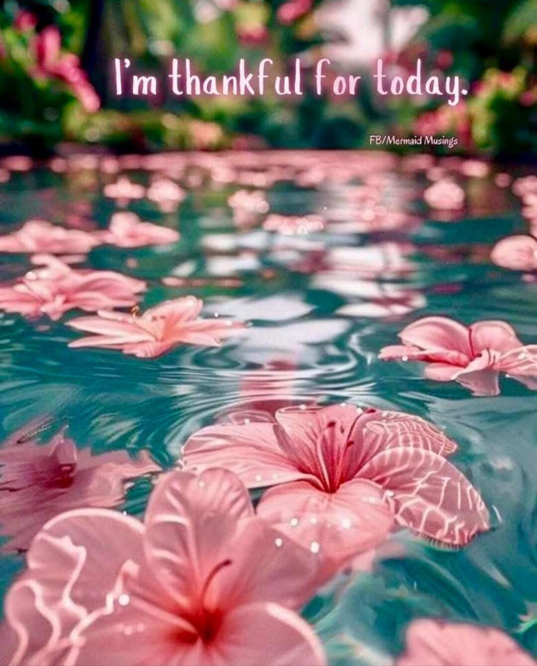 I'm thankful for today.