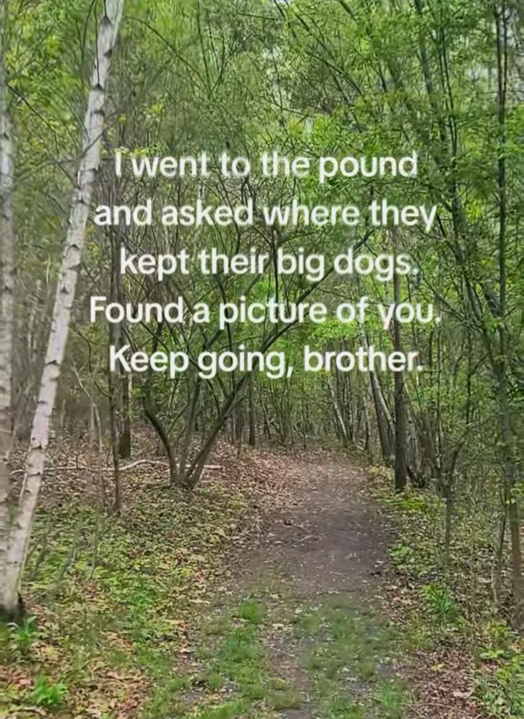 I went to the pound and asked where they kept their big dogs. Found a picture of you. Keep going, brother.