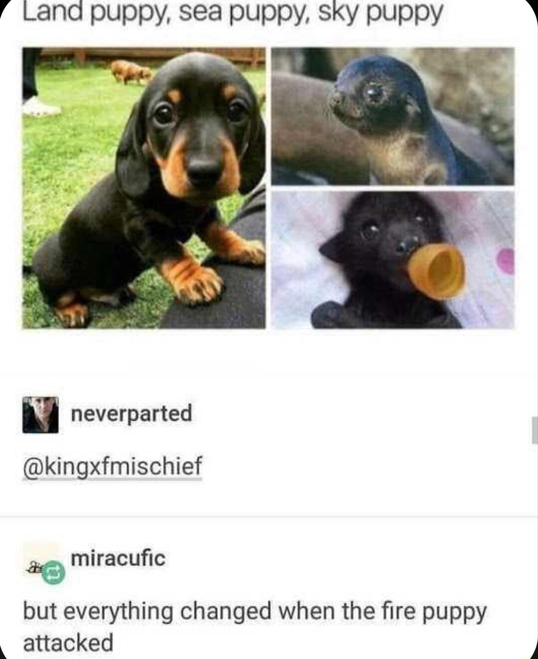 Land puppy sea puppy sy puppy n neverparted kingxfmischief Miracufic 9 but everything changed when the fire puppy attacked