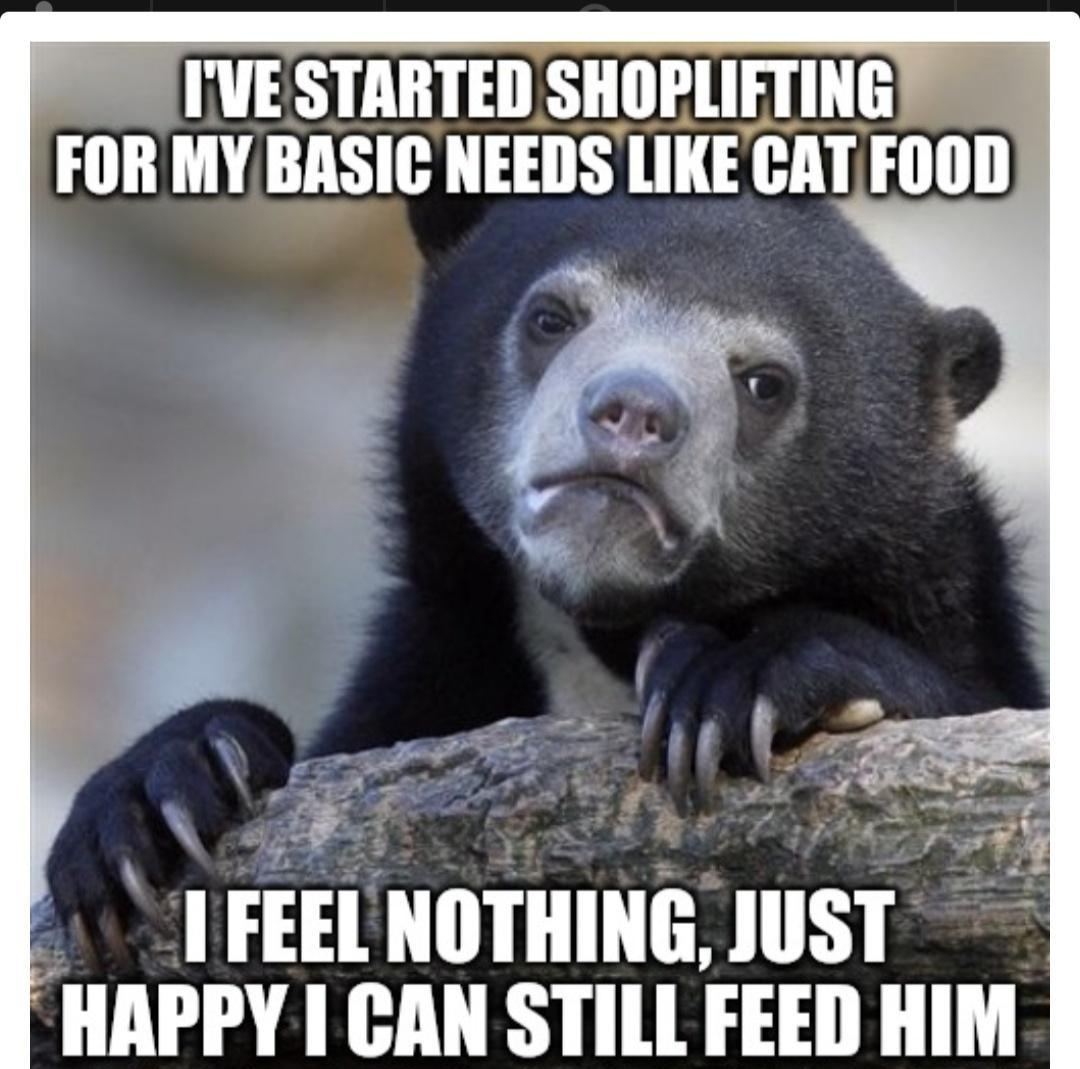 IVESTARTED SHOPLIFTING FOR MY BASIC NEEDS LIKE CAT FOOD A FEEl IIIITIIING IIIST HAPPY 1 CAN STILL FEED HIM