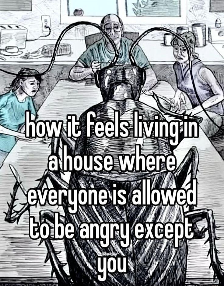how it feels living in a house where everyone is allowed to be angry except you