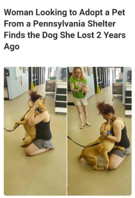 Woman Looking to Adopt a Pet From a Pennsylvania Shelter Finds the Dog She Lost 2 Years