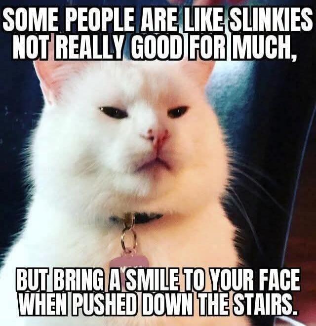 SOME PEOPLE ARE LIKE SLINKIES NOT REALLY GOOD FOR MUCH, BUT BRING A SMILE TO YOUR FACE WHEN PUSHED DOWN THE STAIRS.