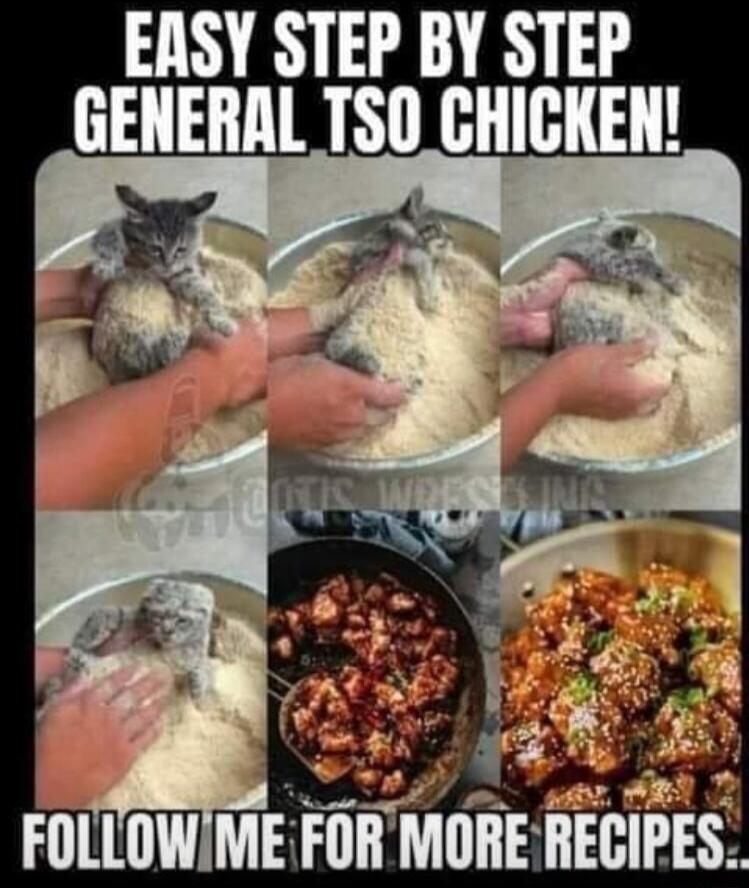 EASY STEP BY STEP FOLLOW Mirnn MORE IIEGIPES