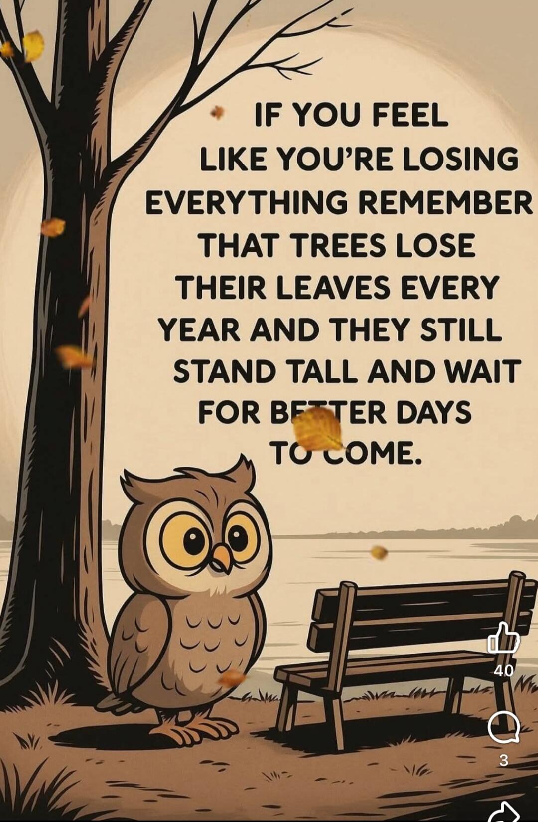 IF YOU FEEL LIKE YOU'RE LOSING EVERYTHING REMEMBER THAT TREES LOSE THEIR LEAVES EVERY YEAR AND THEY STILL STAND TALL AND WAIT FOR BETTER DAYS TO COME.