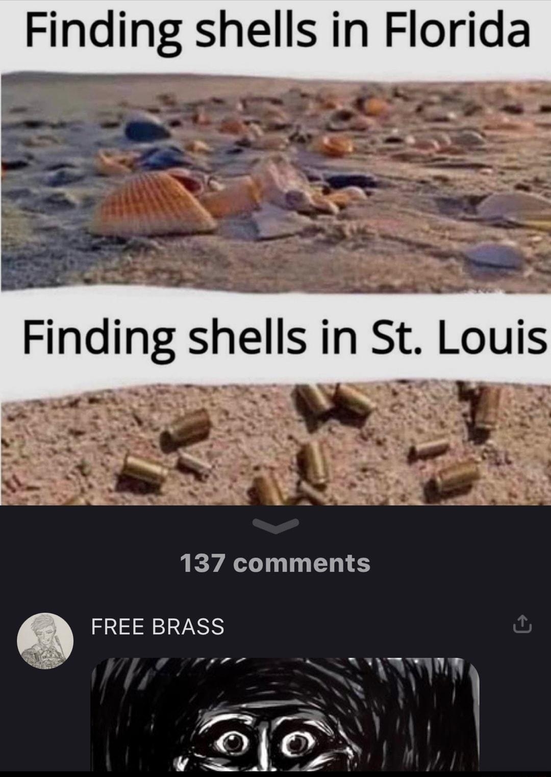 Finding shells in Florida 137 comments Q FREE BRASS cx pre R et Sl v o