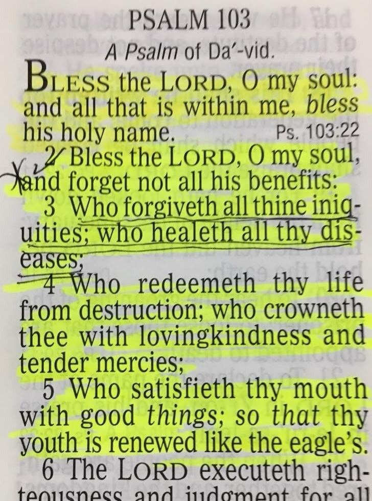 PSALM 103
A Psalm of David.
BLESS the LORD, O my soul: and all that is within me, bless his holy name.
Ps. 103:22
2 Bless the LORD, O my soul, and forget not all his benefits; 3 Who forgiveth all thine iniquities; who healeth all thy diseases; 4 Who redeemeth thy life from destruction; who crowneth thee with lovingkindness and tender mercies; 5 Who