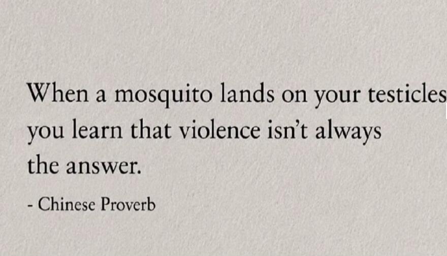 When a mosquito lands on your testicles you learn that violence isn't always the answer. - Chinese Proverb