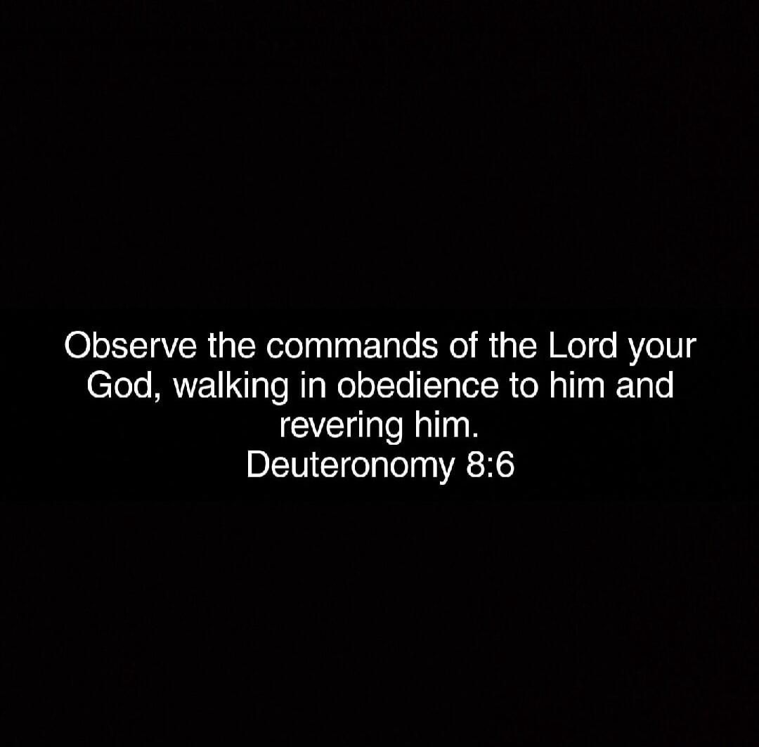 Observe the commands of the Lord your God, walking in obedience to him and revering him. Deuteronomy 8:6