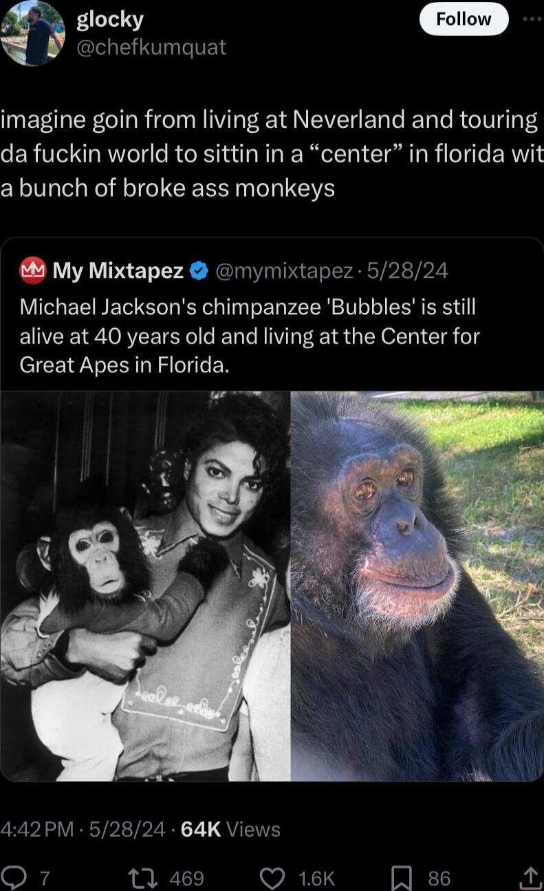 y gocky chefkumquat imagine goin from living at Neverland and touring da fuckin world to sittin in a center in florida wit a bunch of broke ass monkeys My Mixtapez mymixtapez 52824 Michael Jacksons chimpanzee Bubbles is still alive at 40 years old and living at the Center for CICEI RN ST N 442PM 52824 64K Views O7 11 469 ORI A ss 2