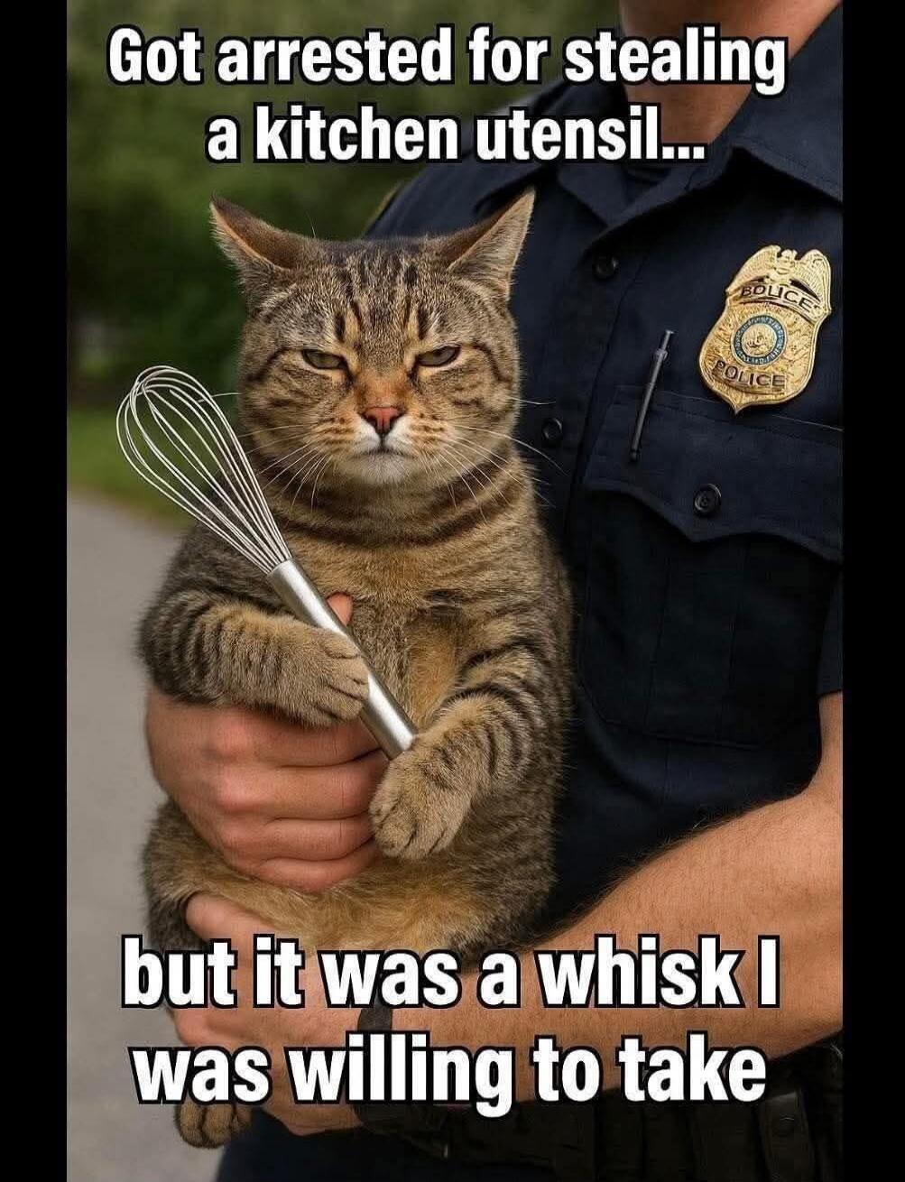 Got arrested for stealing a kitchen utensil... but it was a whisk I was willing to take