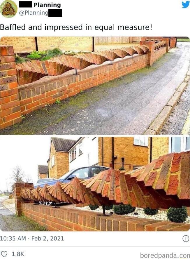 Il Planning L Planninolill Baffled and impressed in equal measure Bl i INEcs 1035 AM Feb 2 2021 Q 18K boredpandacon