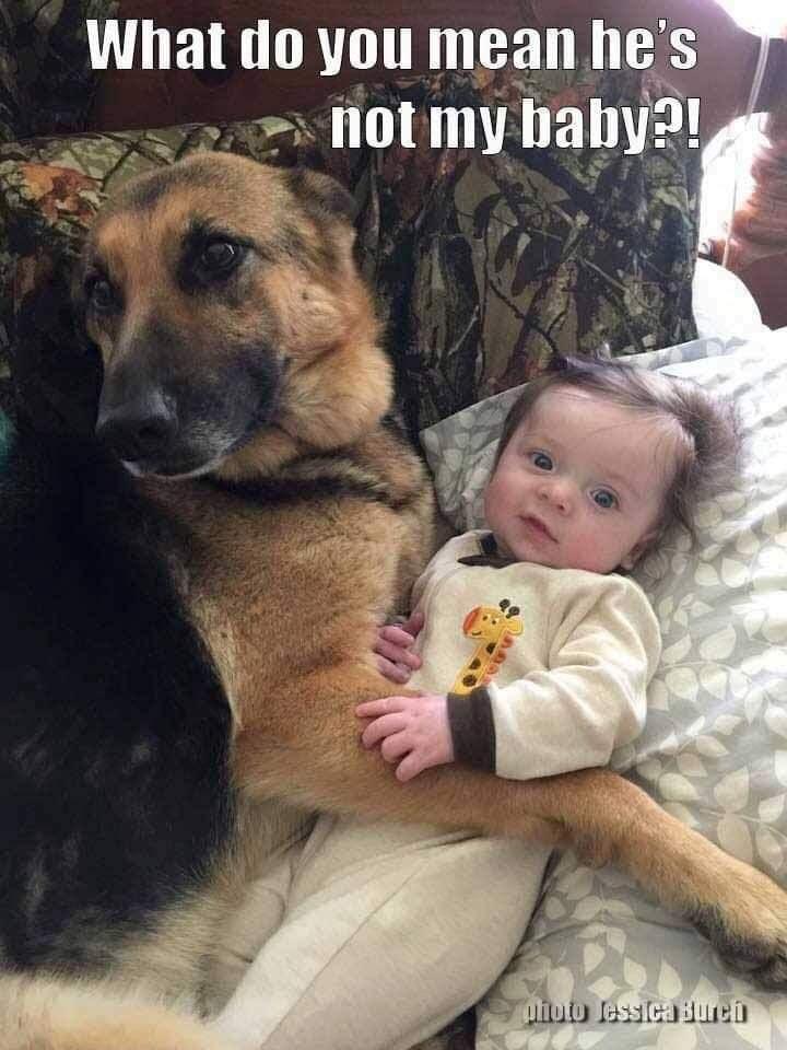 What do you mean h e