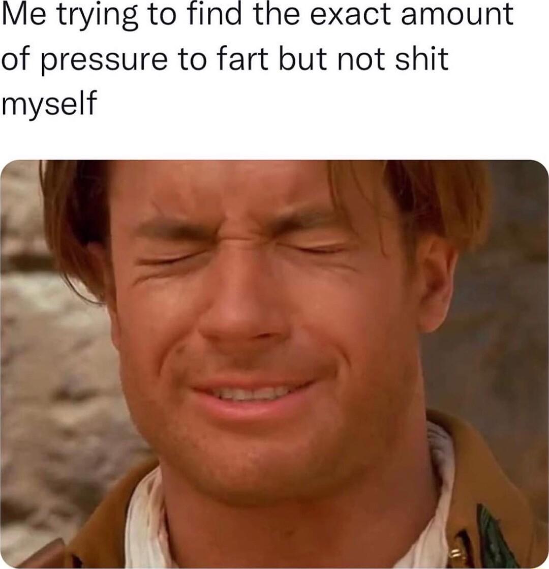 Me trying to find the exact amount of pressure to fart but not shit myself Al e