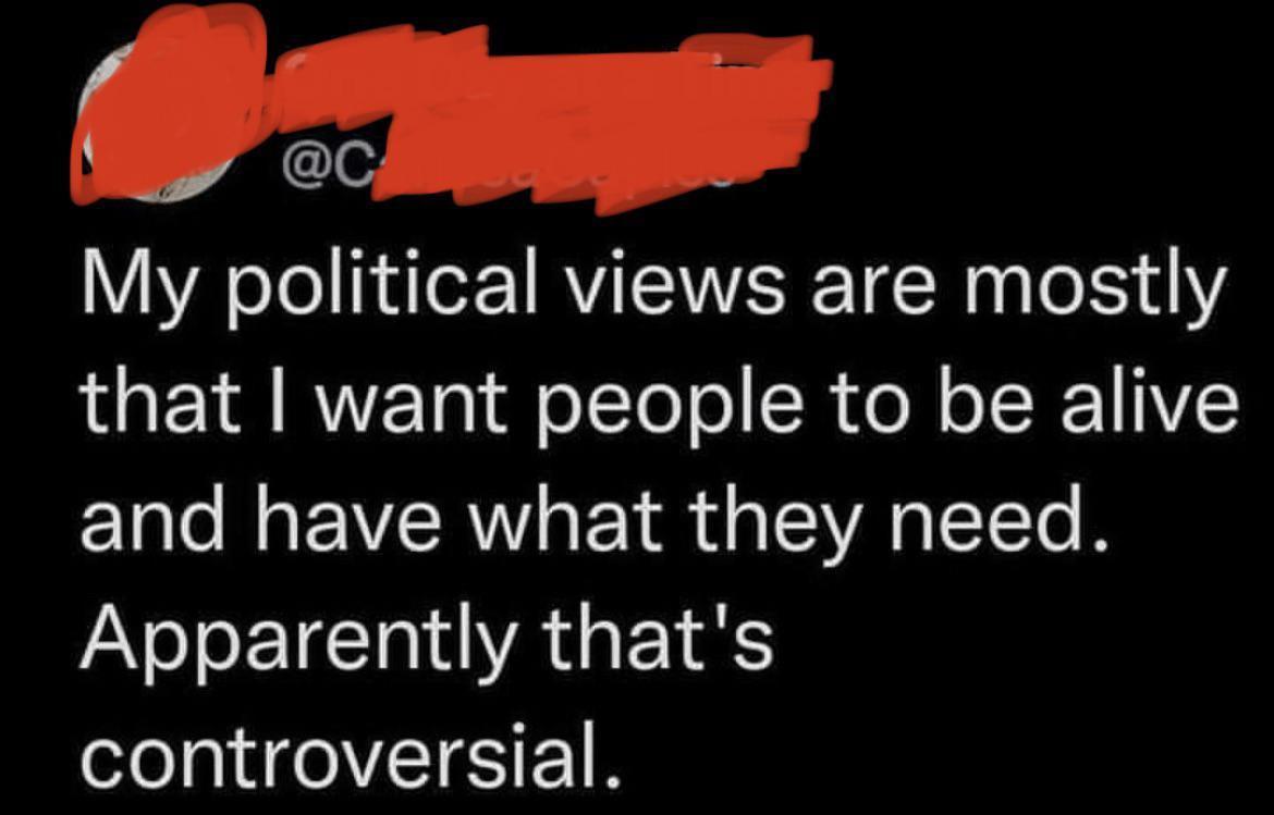 o My political views are mostly that want people to be alive and have what they need Apparently thats controversial