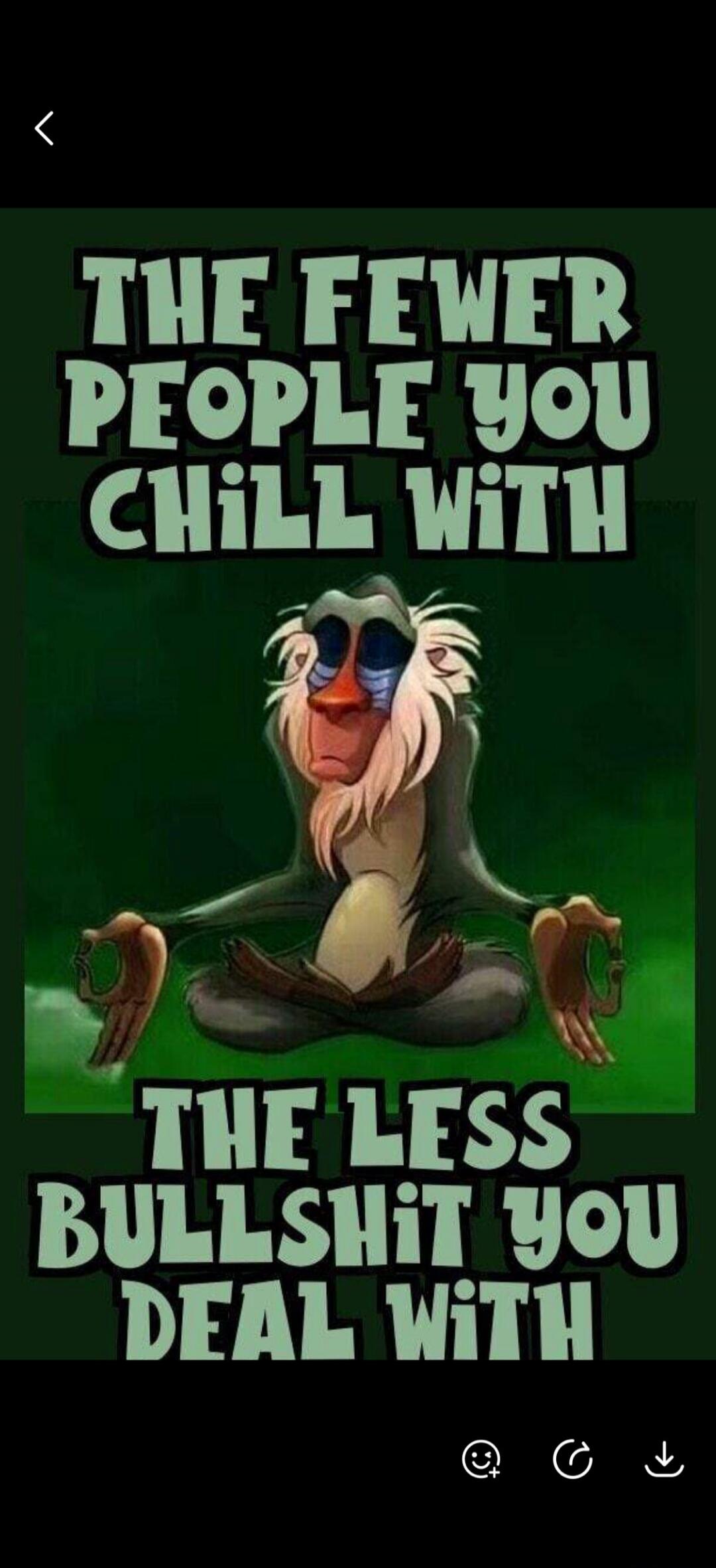 THE FEWER PEOPLE YOU CHILL WITH THE LESS BULLSHIT YOU DEAL WITH