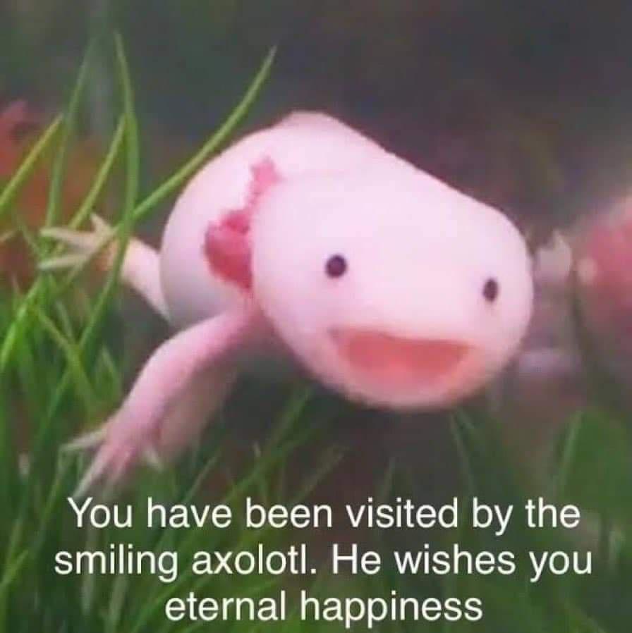 You have been visited by the smiling axolotl He wishes you CICIGENETolo g5