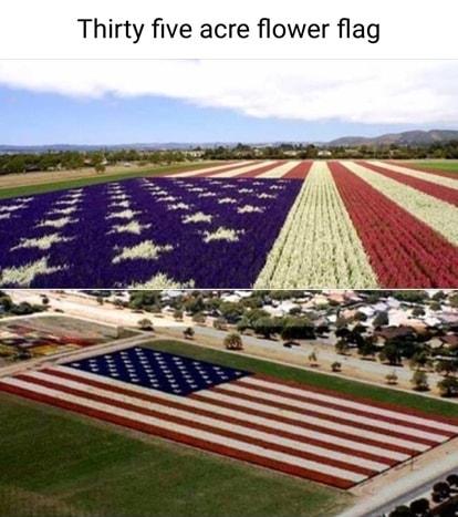 Thirty five acre flower flag