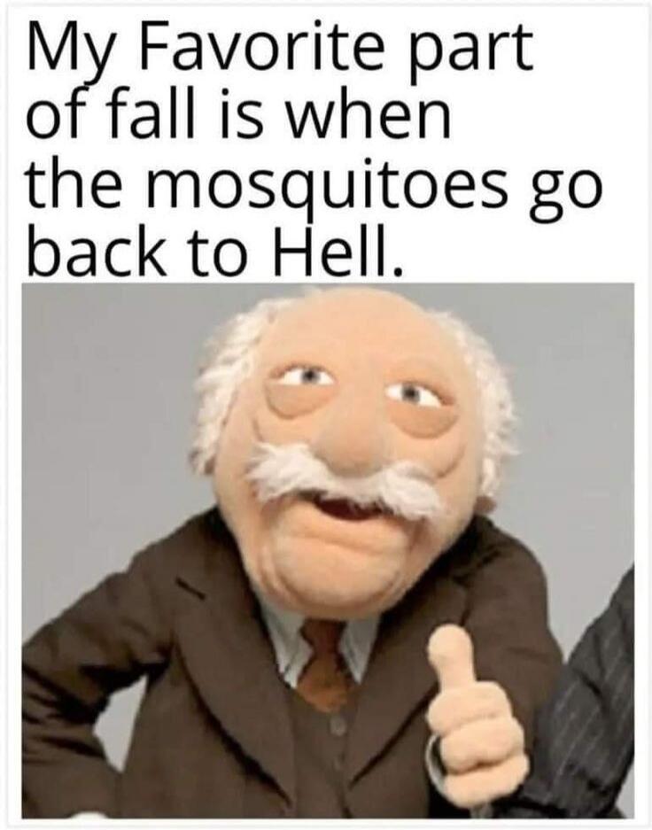 My Favorite part of fall is when the mosquitoes go back to Hell.