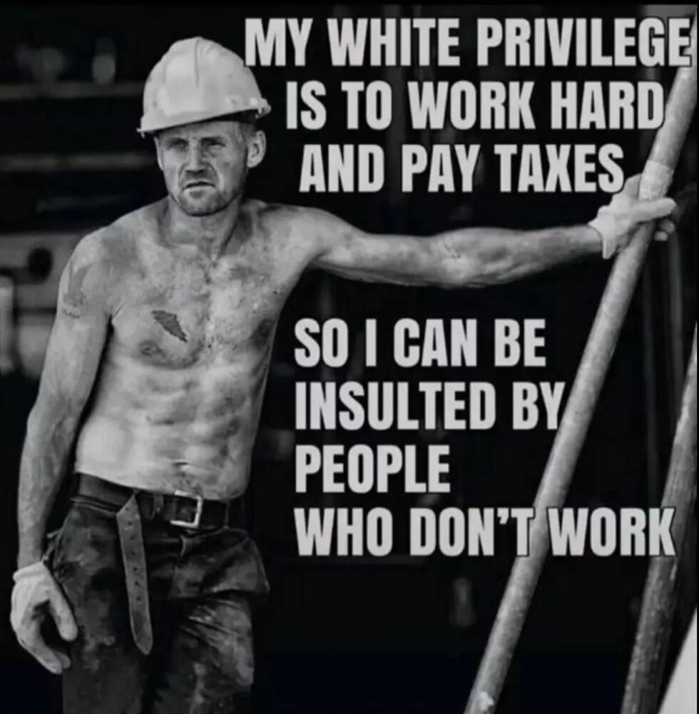 MY WHITE PRIVILEGE IS TO WORK HARD AND PAY TAXES SO I CAN BE INSULTED BY PEOPLE WHO DON'T WORK
