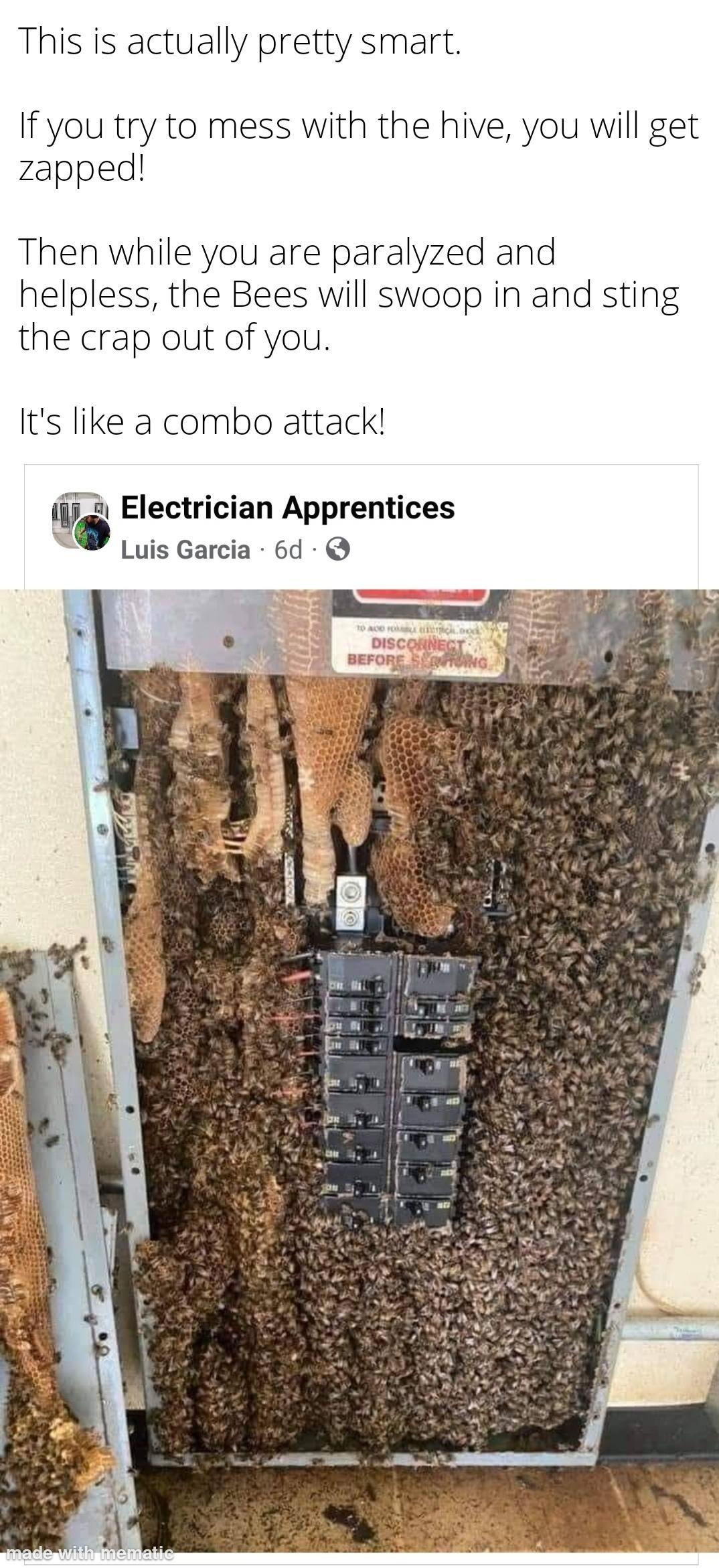 This is actually pretty smart If you try to mess with the hive you will get zapped Then while you are paralyzed and helpless the Bees will swoop in and sting the crap out of you Its like a combo attack 9 i Electrician Apprentices W Luis Garcia 6d Q L 1 l 2 L