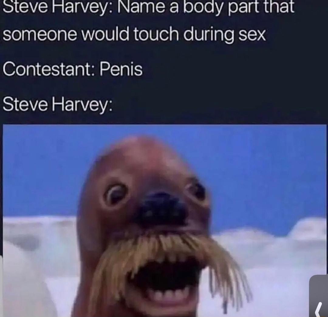 Sleve Harvey Name a boay part that someone would touch during sex Contestant Penis Steve Harvey