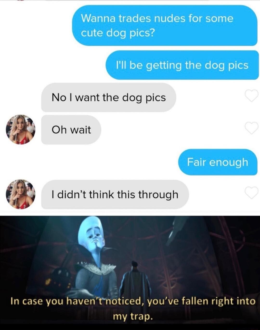 No want the dog pics x Oh wait In case you haventnoticed youve fallen right into my trap