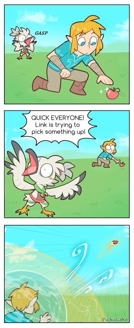 QUICK EVERYONEI Link is trying to pick something up