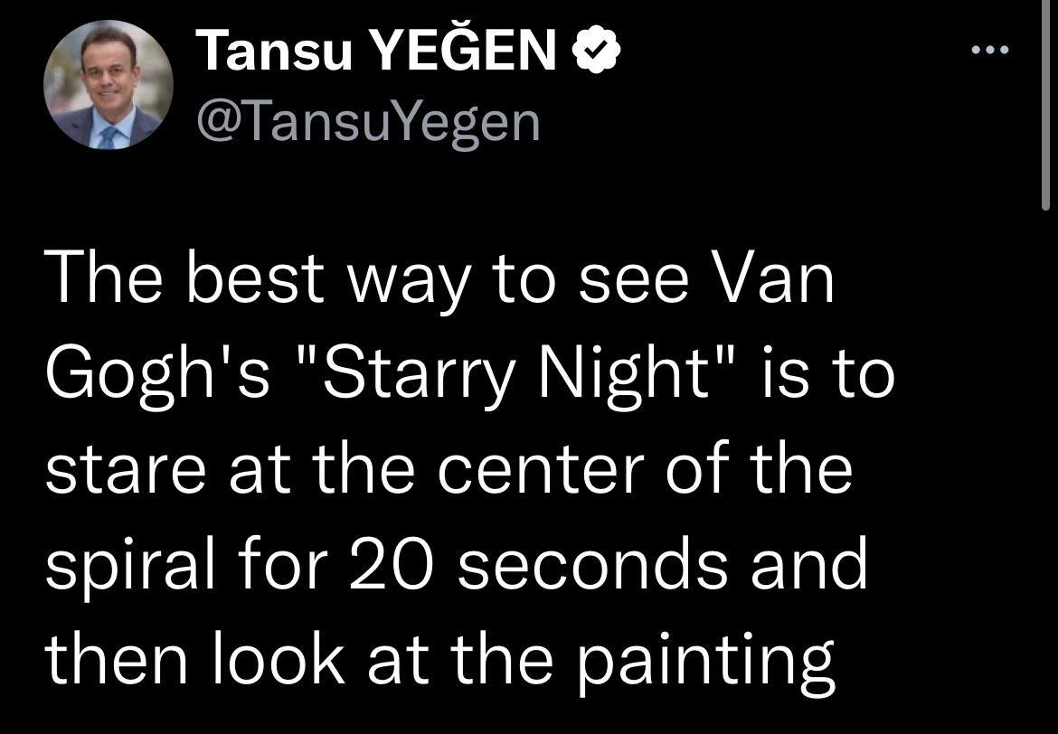 Tansu YEGEN QEGENEEE The best way to see Van Goghs Starry Night is to stare at the center of the spiral for 20 seconds and then look at the painting