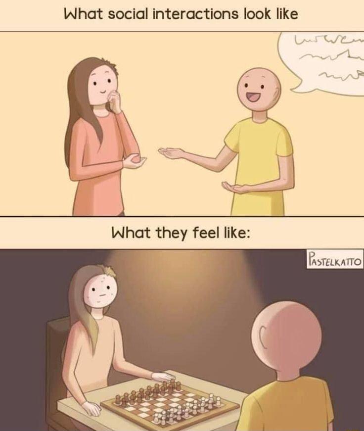 What social interactions look like P ATELKATTO