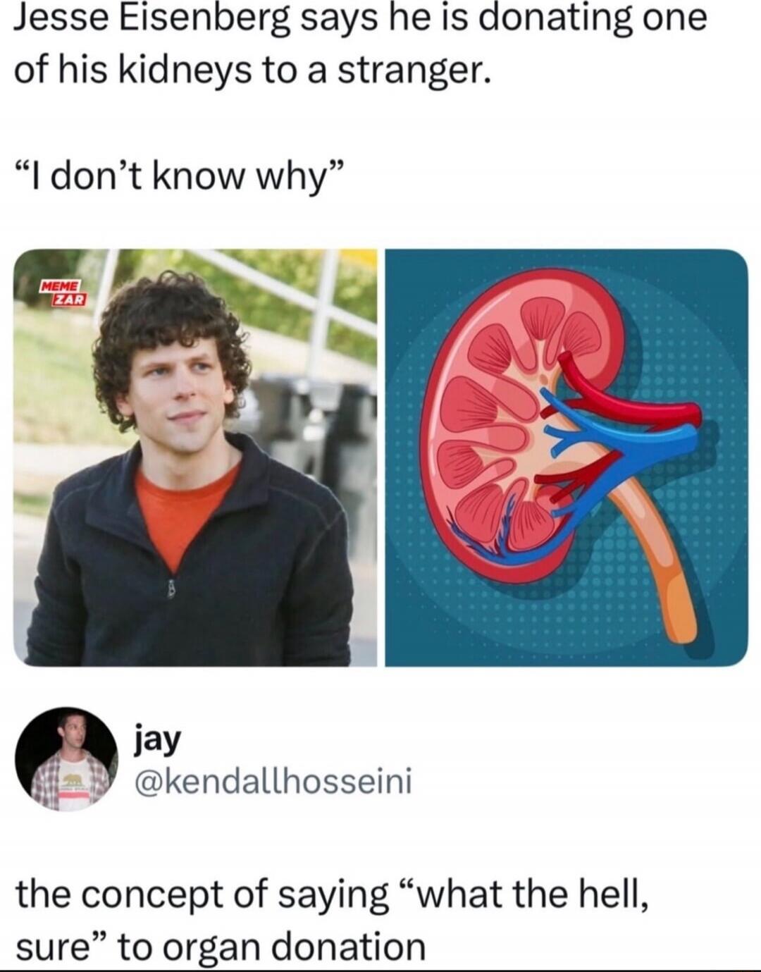 Jesse Eisenberg says he is donating one of his kidneys to a stranger. “I don’t know why” the concept of saying “what the hell, sure” to organ donation