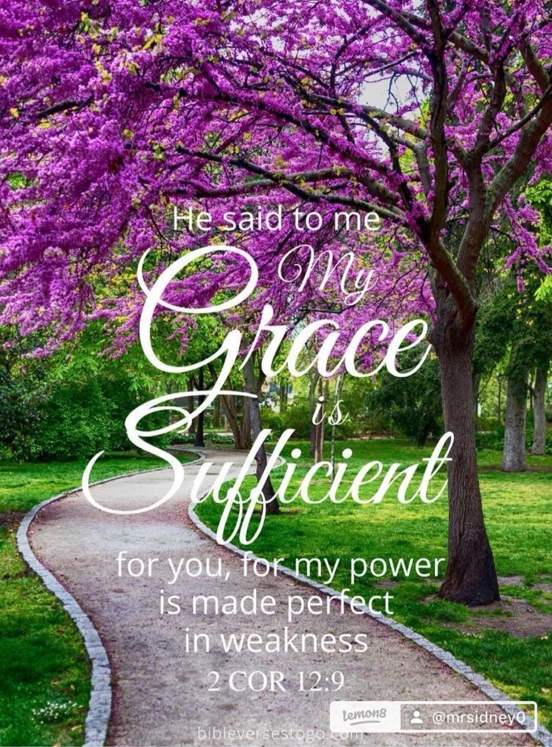 He said to me My Grace is Sufficient for you, for my power is made perfect in weakness 2 COR 12:9