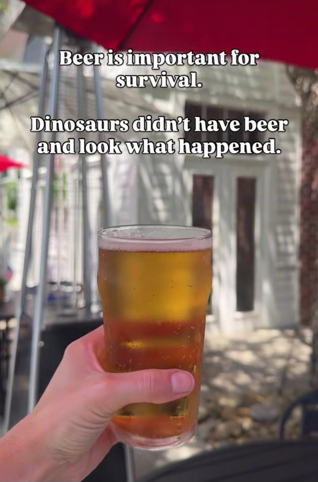Beer is important for survival. Dinosaurs didn't have beer and look what happened.