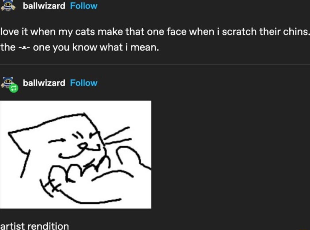 5 ballwizard Follow love it when my cats make that one face when i scratch their chins the one you know what i mean ballwizard Follow artist rendition