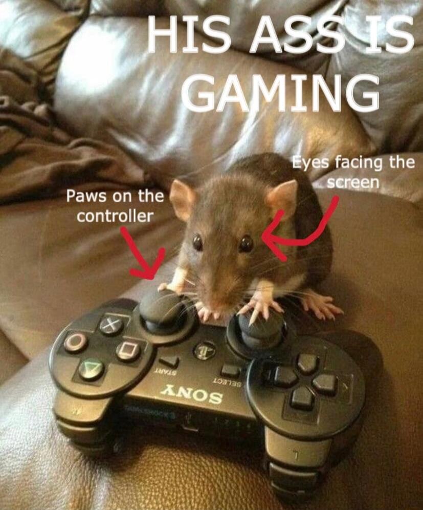Paws on the M controller O v Aoy K o