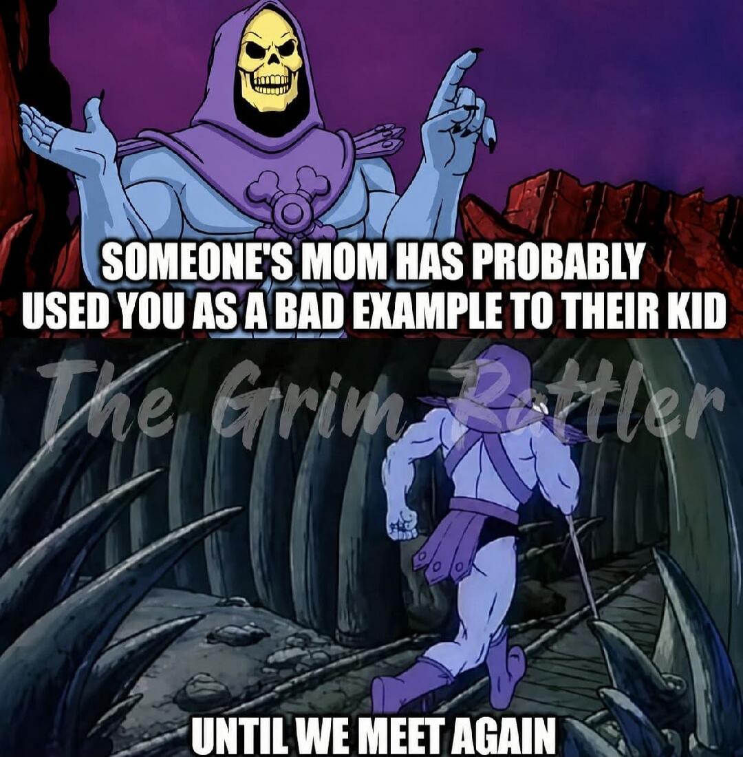 SOMEONE'S MOM HAS PROBABLY USED YOU AS A BAD EXAMPLE TO THEIR KID UNTIL WE MEET AGAIN