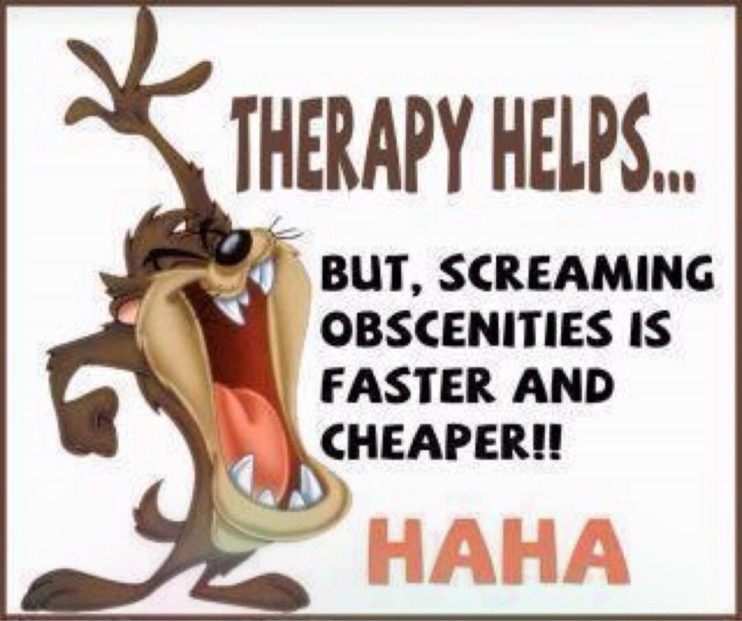 THERAPY HELPS... BUT, SCREAMING OBSCENITIES IS FASTER AND CHEAPER!! HAHA