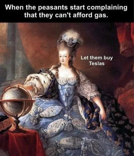 L GEL RGN EEEEL I ERS E TR W ETR T LUEIR G R N I NV EEN Let them buy Teslas