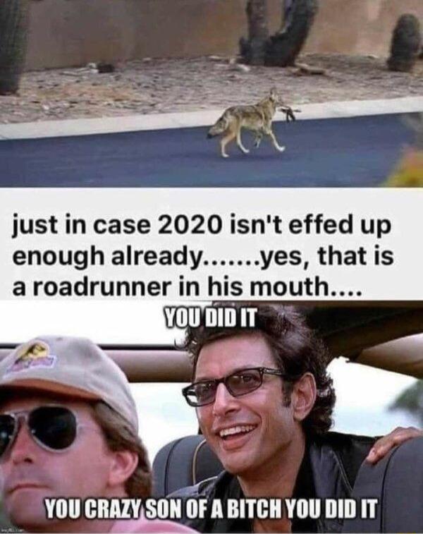 justin case 2020 isnt effed up enough already es that is aroadrunner in his mouth YOU CRAZYSON OF A BITCH YOU DID IT