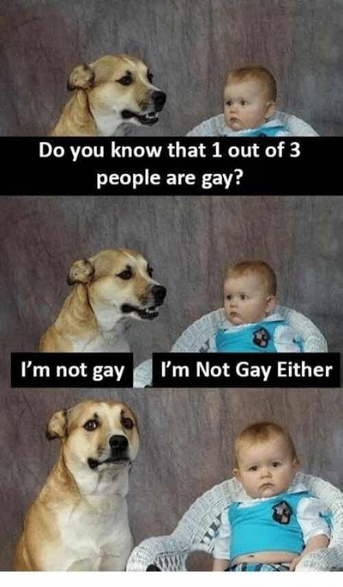Do you know that 1 out of 3 people are gay? I'm not gay. I'm Not Gay Either.