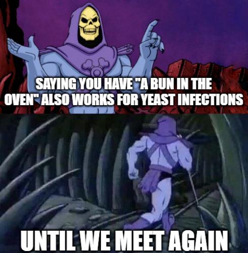 SAYING YOU HAVESA BUN IN THE OVEN ALSO WORKS FOR YEAST INFECTIONS 1 v A0 2 o UNTILWE MEET AGAIN