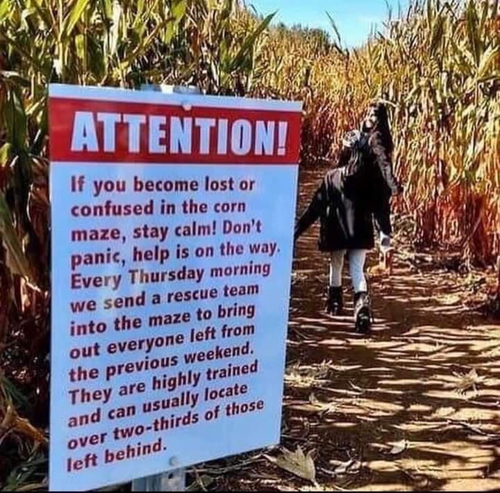 If you become lost or confused in the corn maze stay calm Dont panic help is on the way Every Thursday morning nd a rescue team e maze to bring ne left from we sl