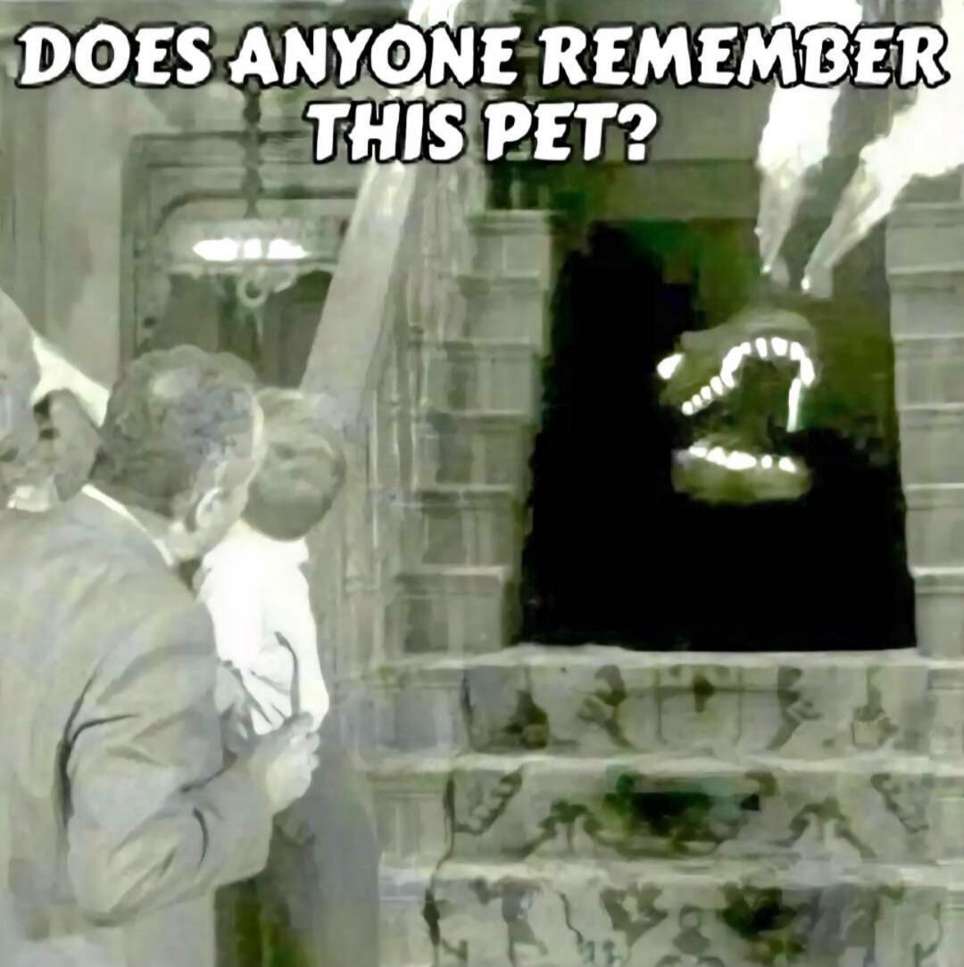 DOES ANYONE REMEMBER THIS PET?