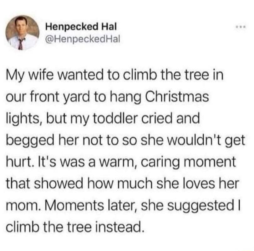 My wife wanted to climb the tree in our front yard to hang Christmas lights, but my toddler cried and begged her not to so she wouldn't get hurt. It was a warm, caring moment that showed how much she loves her mom. Moments later, she suggested I climb the tree instead.