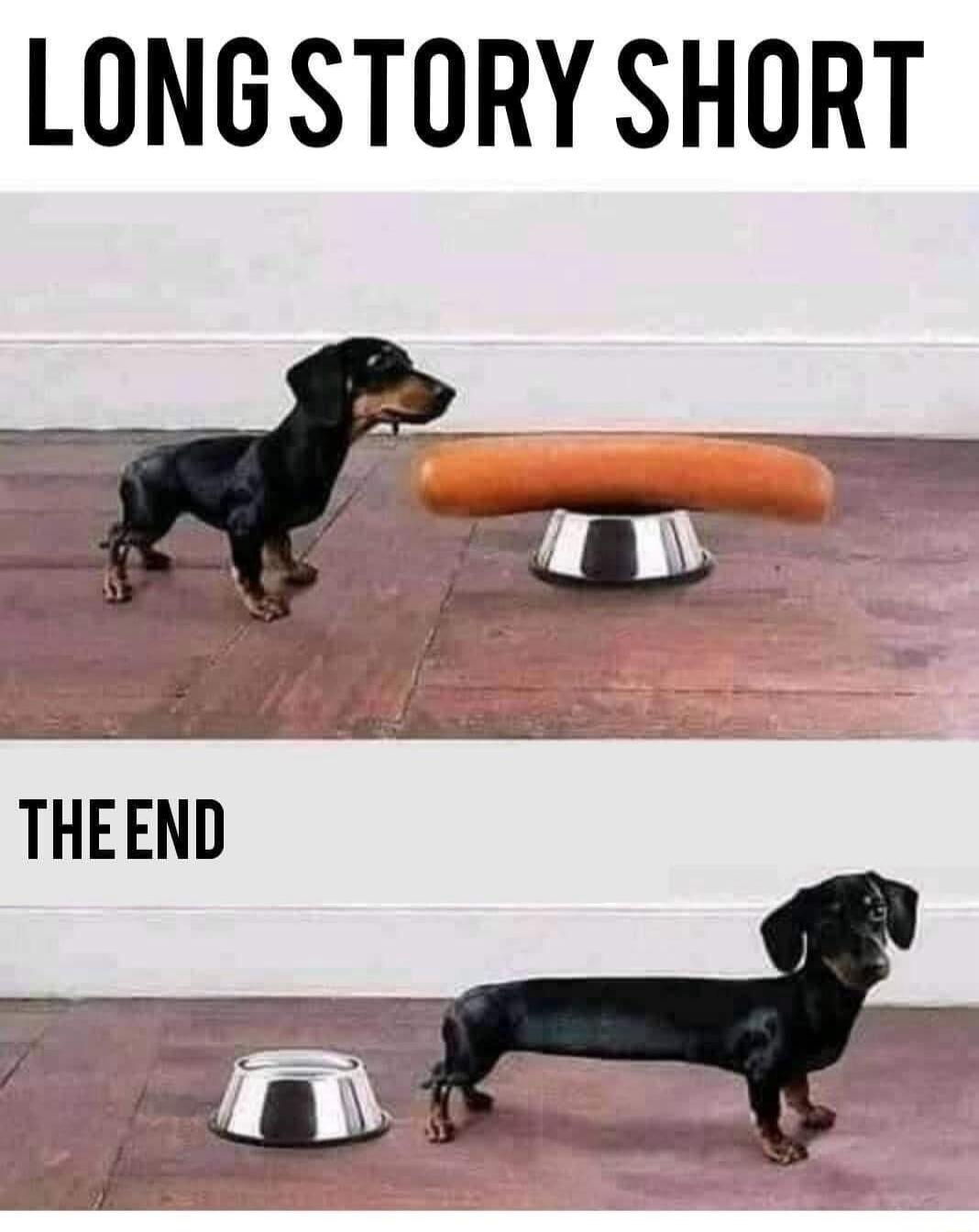 LONGSTORY SHORT THEEND