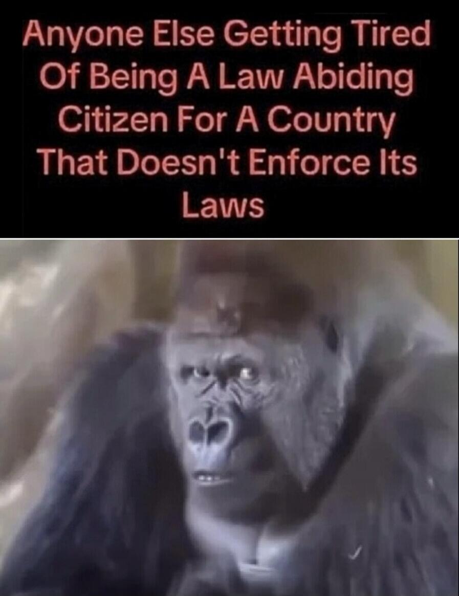Anyone Else Getting Tired Of Being A Law Abiding Citizen For A Country That Doesn't Enforce Its Laws