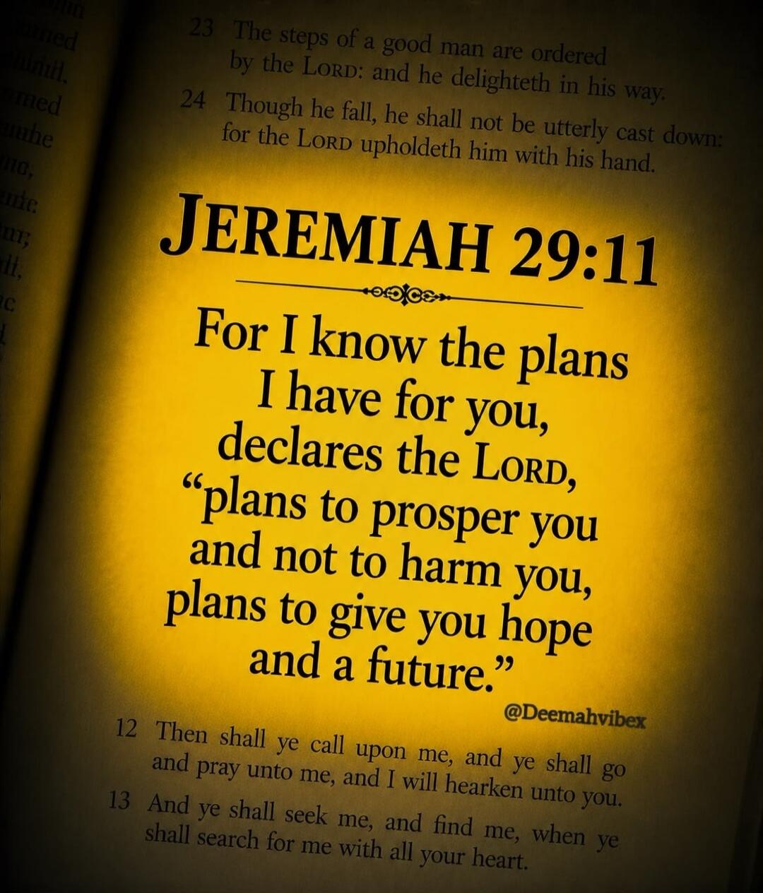 JEREMIAH 29:11 For I know the plans I have for you, declares the Lord, “plans to prosper you and not to harm you, plans to give you hope and a future.” @Deemahvibex. Other verses visible: The steps of a good man are ordered by the LORD: and he delighteth in his way. Though he fall, he shall not be utterly cast down: for the LORD upholdeth him with 