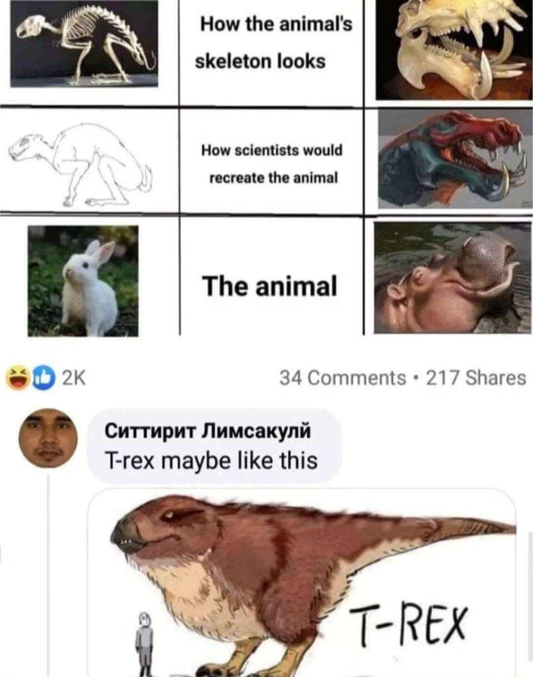 How the animals skeleton looks How scientists would recreate the animal The animal 0x 34 Comments 217 Shares CuTTUpUT Jlumcakynin T rex maybe like this