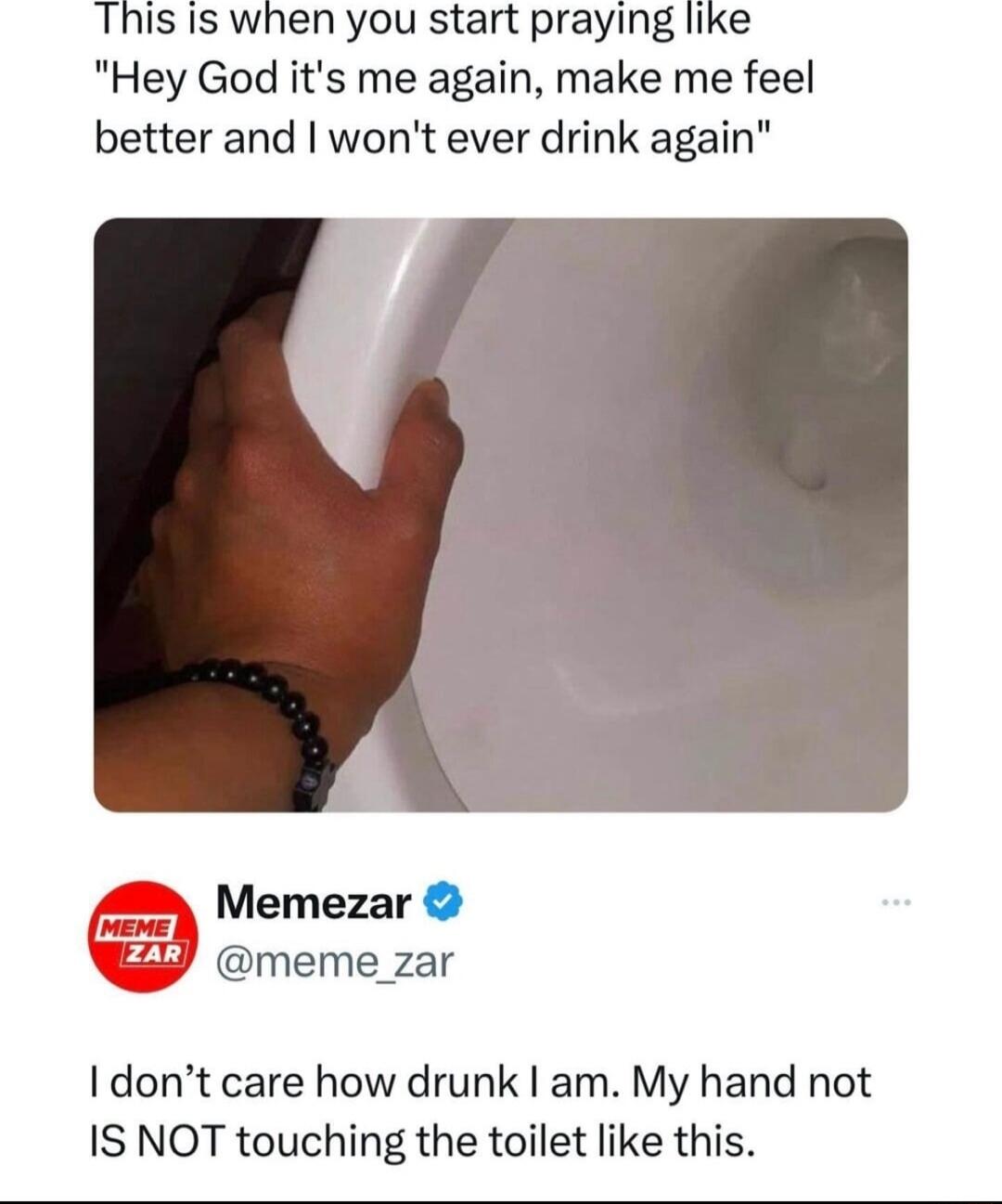 This Is when you start praying like Hey God its me again make me feel better and wont ever drink again Memezar meme_zar dont care how drunk am My hand not IS NOT touching the toilet like this